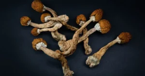 can you smoke shrooms