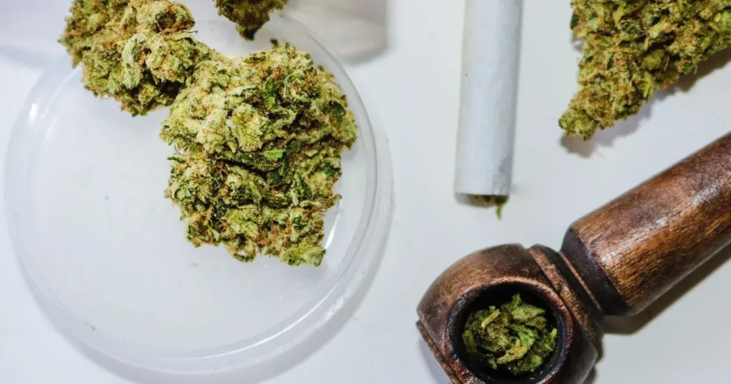 animal mint cake strain