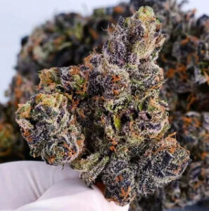 How to Enjoy Soft Serve Sherbet Strain