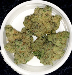 ice cream candy strain