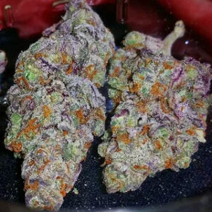 soft serve sherb strain